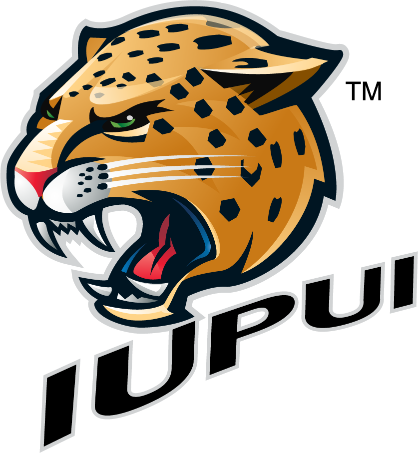 IUPUI Jaguars 2007-2017 Secondary Logo v3 t shirts iron on transfers